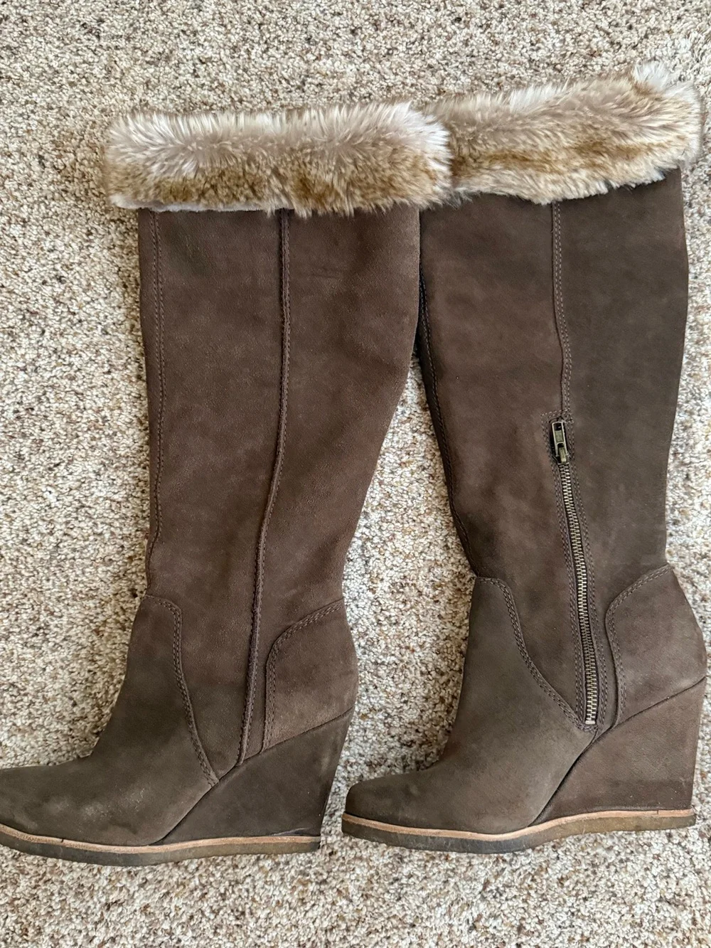 Splendid anthropologie brown